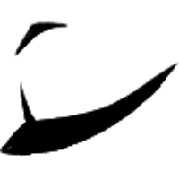 asset icon