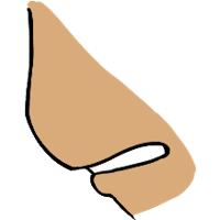 asset icon