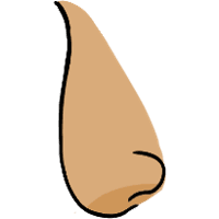asset icon