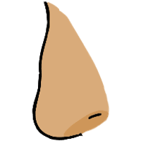 asset icon