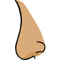 asset icon