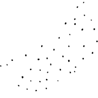 asset icon